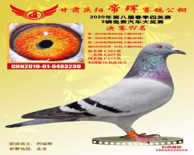 甘肃帝珲决赛91名