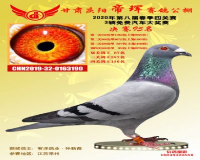 甘肃帝珲决赛95名