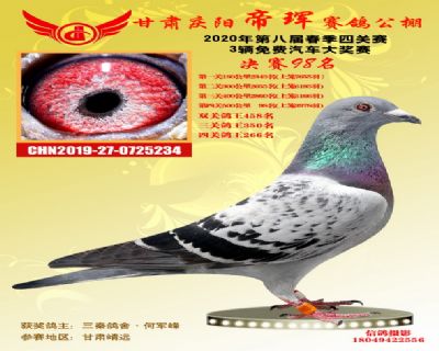 甘肃帝珲决赛98名