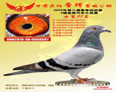 甘肃帝珲决赛97名