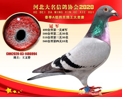 大名A-1