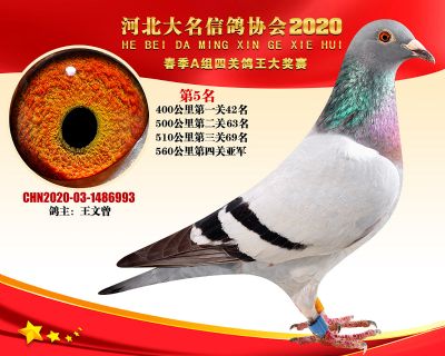 大名A-5