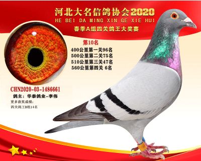 大名A-10