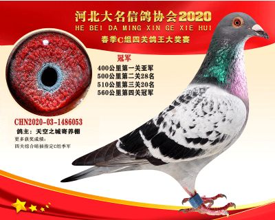 大名C-1