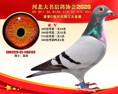 大名C-2
