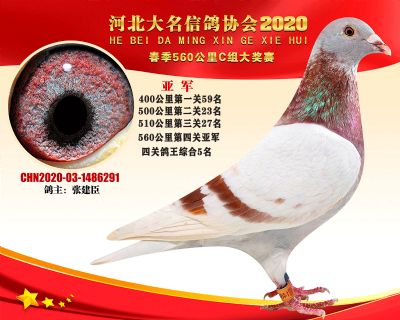 大名560C-2