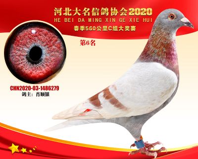大名560C-6