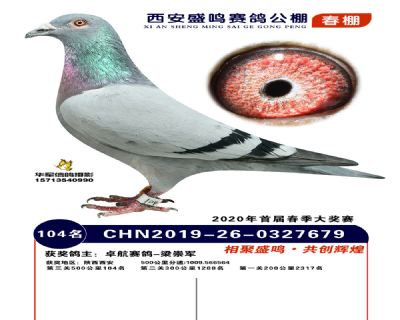 西安盛鸣决赛104名