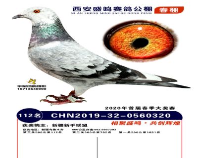 西安盛鸣决赛112名