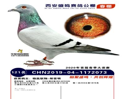西安盛鸣决赛121名