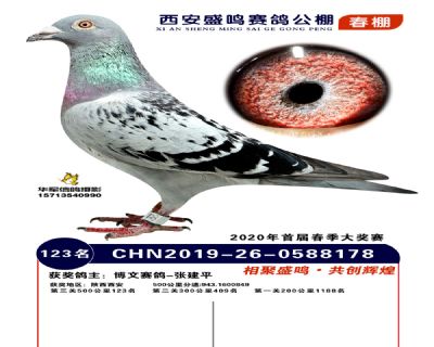 西安盛鸣决赛123名
