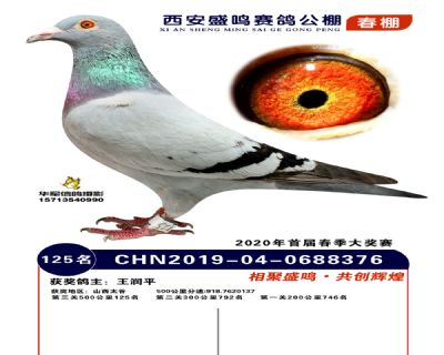 西安盛鸣决赛125名
