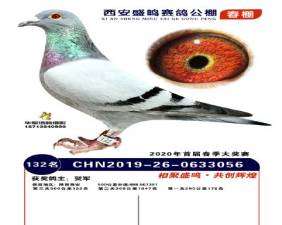 西安盛鸣决赛132名
