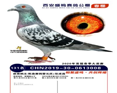 西安盛鸣决赛131名