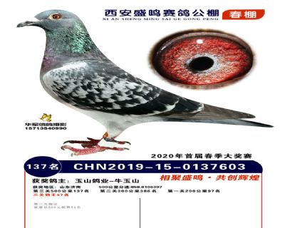 西安盛鸣决赛137名