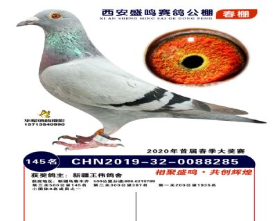 西安盛鸣决赛145名