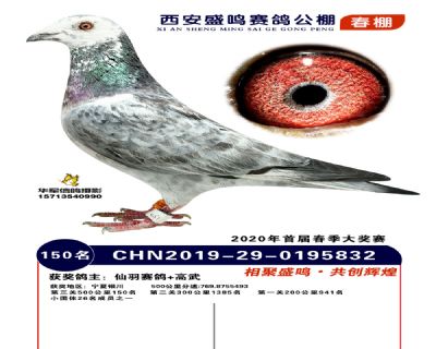 西安盛鸣决赛150名