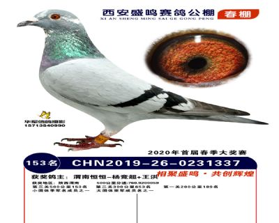 西安盛鸣决赛153名