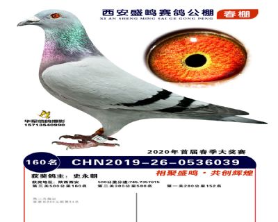 西安盛鸣决赛160名