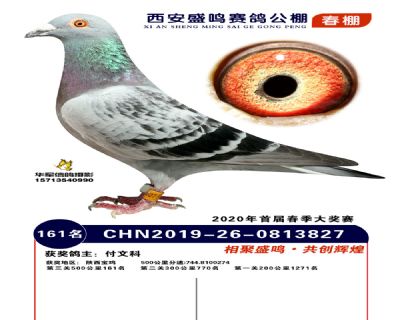 西安盛鸣决赛161名