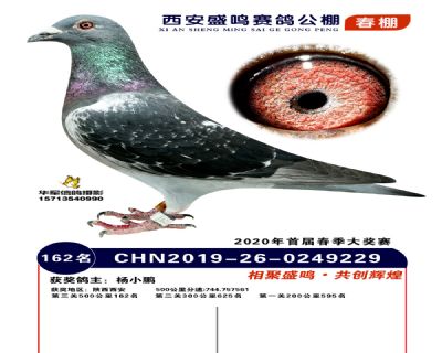 西安盛鸣决赛162名
