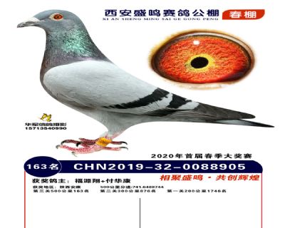 西安盛鸣决赛163名