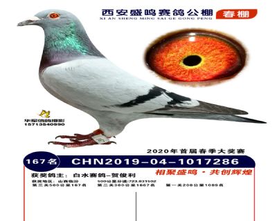 西安盛鸣决赛167名