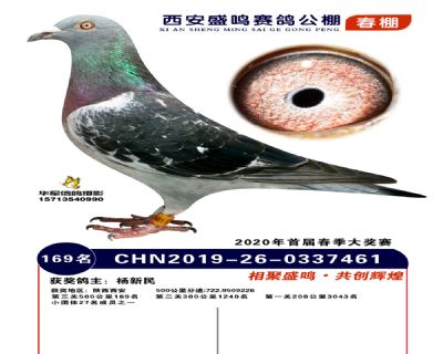 西安盛鸣决赛169名