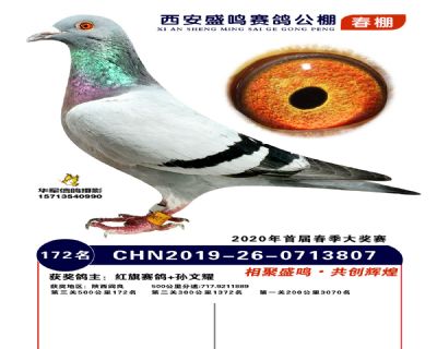 西安盛鸣决赛172名