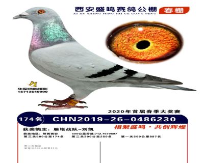 西安盛鸣决赛174名