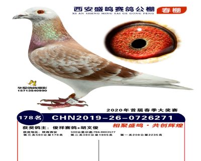 西安盛鸣决赛178名