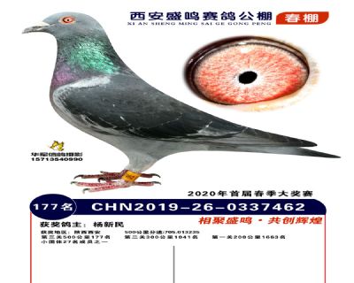 西安盛鸣决赛177名