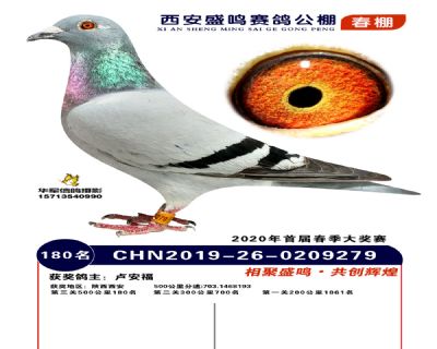 西安盛鸣决赛180名