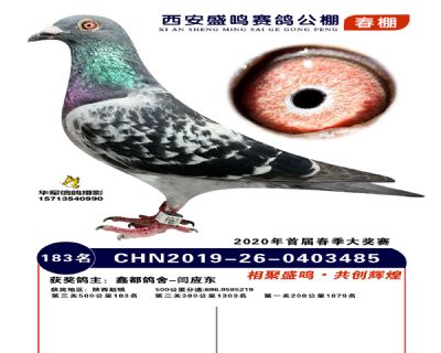 西安盛鸣决赛183名
