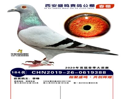 西安盛鸣决赛184名