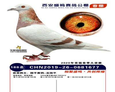 西安盛鸣决赛188名