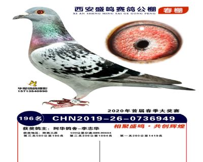 西安盛鸣决赛196名