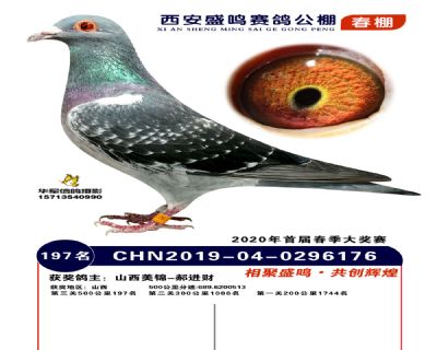西安盛鸣决赛197名