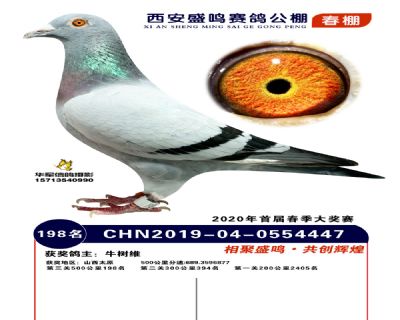 西安盛鸣决赛198名