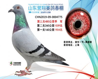 2020年誉翔3 副本