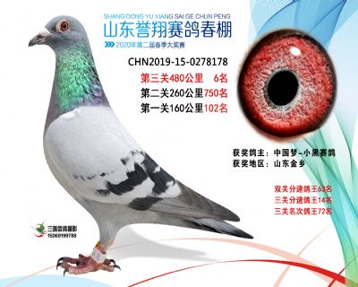 2020年誉翔6 副本