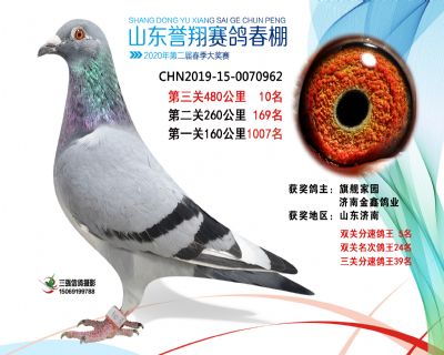 2020年誉翔10 副本
