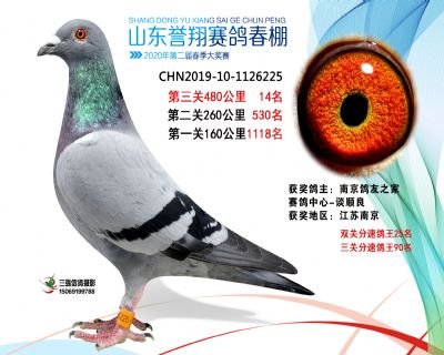 2020年誉翔14 副本
