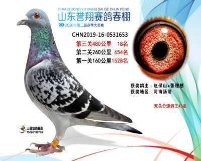 2020年誉翔18 副本