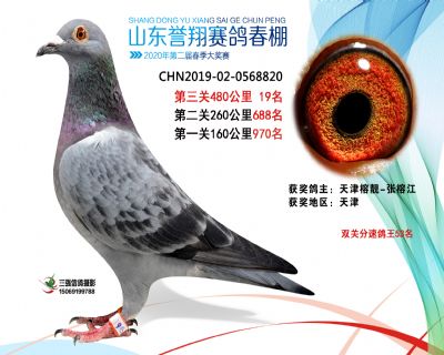 2020年誉翔19