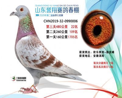 2020年誉翔22 副本