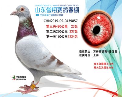 2020年誉翔23