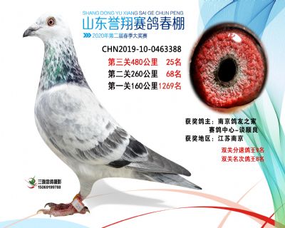 2020年誉翔25 副本