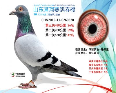 2020年誉翔26 副本