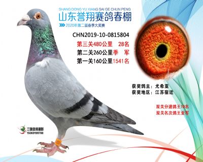2020年誉翔28